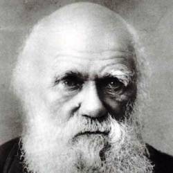 Frasi e Aforismi di Charles Darwin